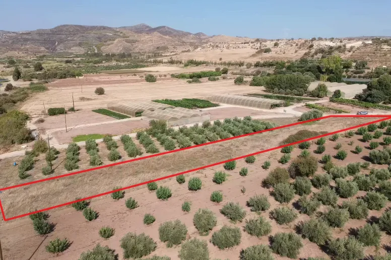 Участок в Агия Варвара, Пафос