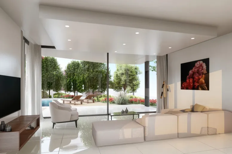 Дом в Хлораке, Пафос