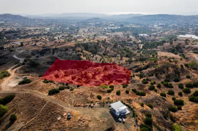 Сельхоз земля - 17913, photo 1