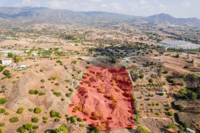 Сельхоз земля - 17913, photo 2