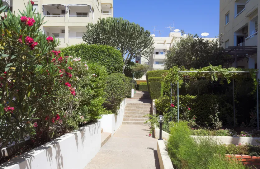 3-bedroom apartment - 17924, photo 13