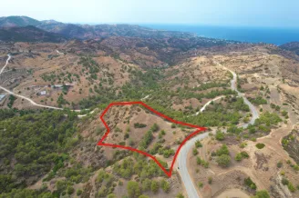 Agricultural land in Pano Pyrgos, Nicosia - 17402