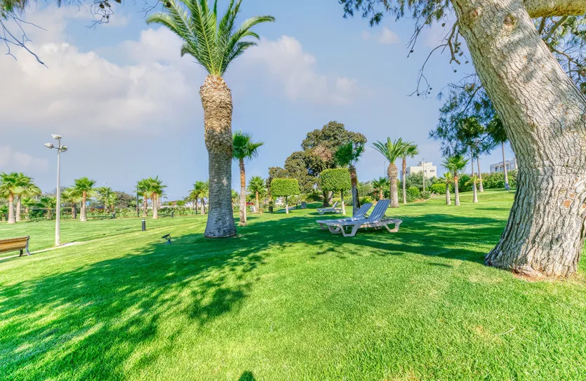 3-bedroom apartment - 17993, photo 24