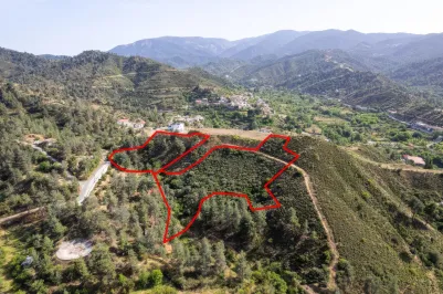 Участок для жилой застройки - 18125, photo 2