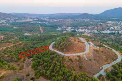 Residential plot - 18118, photo 1