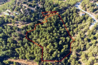 Residential plot - 18121, photo 1