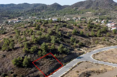 Residential plot - 18131, photo 1