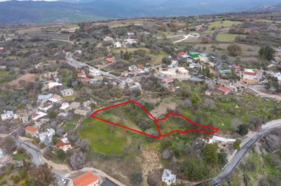 Residential plot - 18149, photo 1