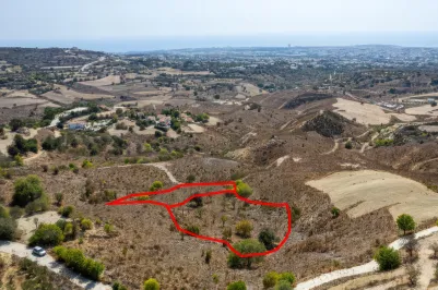 Residential plot - 18150, photo 2