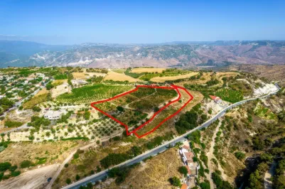 Residential plot - 18105, photo 1