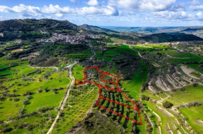 Участок для жилой застройки - 18159, photo 2