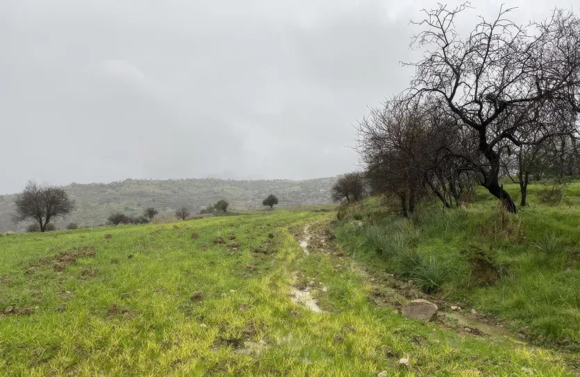 Residential plot for sale - 18152