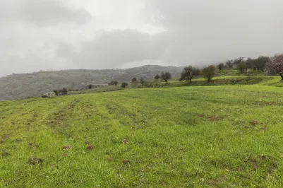 Residential plot - 18152, photo 1