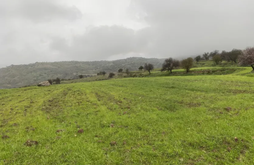 Residential plot - 18152, photo 2