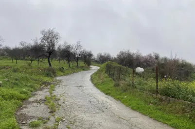 Residential plot - 18152, photo 2