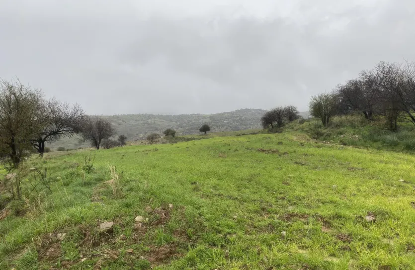 Residential plot - 18152, photo 4