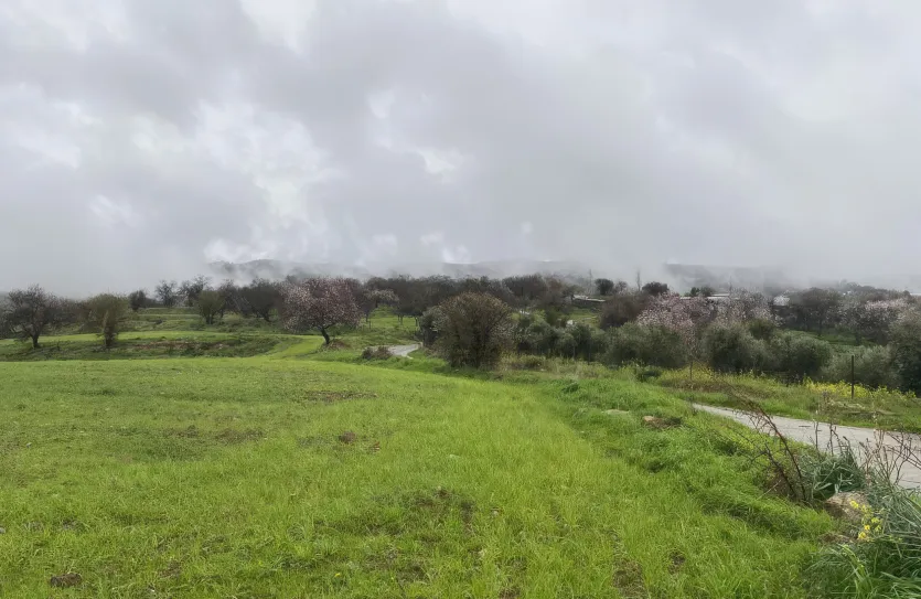 Residential plot - 18152, photo 5