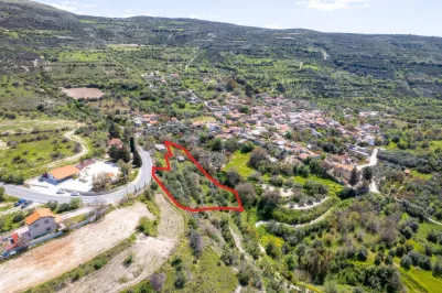 Residential plot - 18175, photo 1