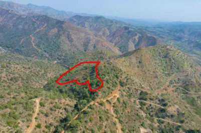 Agricultural land - 18187, photo 1