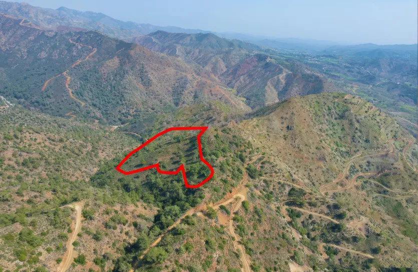 Agricultural land - 18187, photo 2