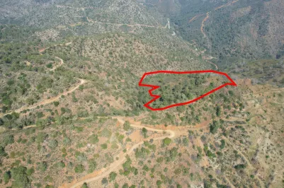 Agricultural land - 18187, photo 2