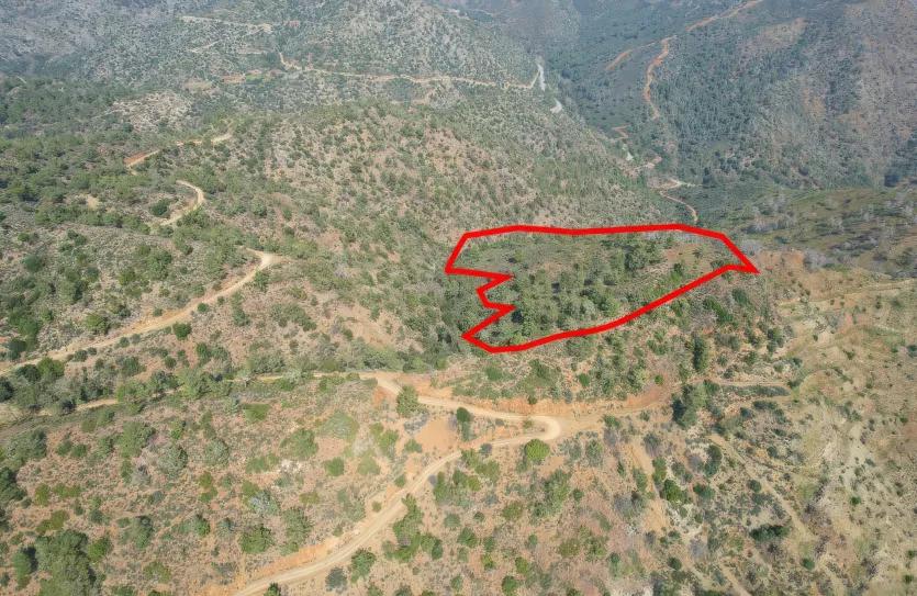 Agricultural land - 18187, photo 3