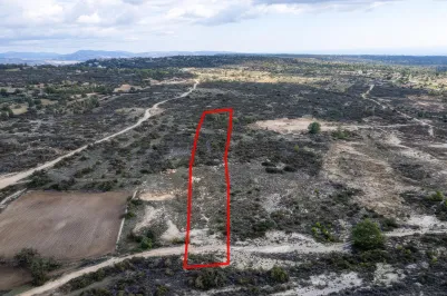 Сельхоз земля - 18184, photo 2