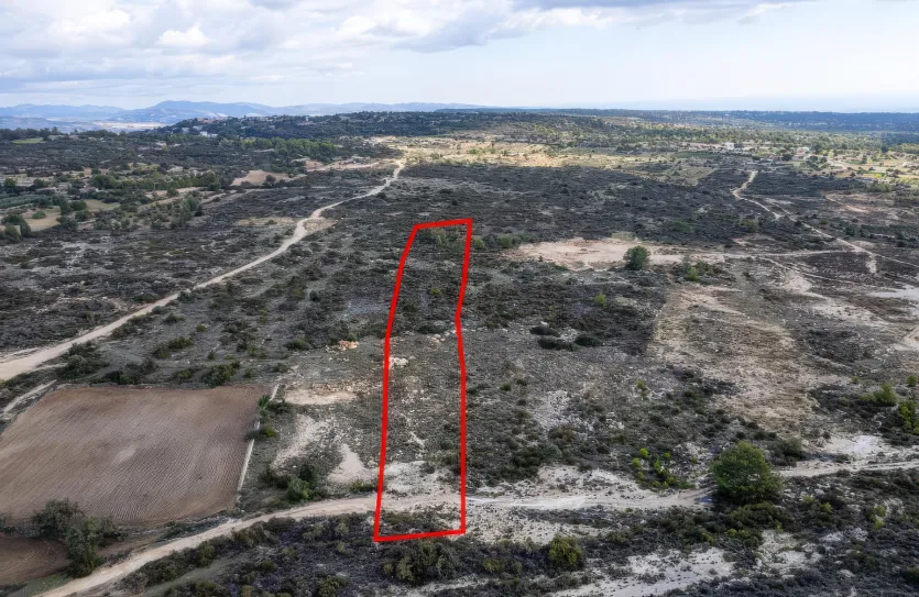 Сельхоз земля - 18184, photo 3