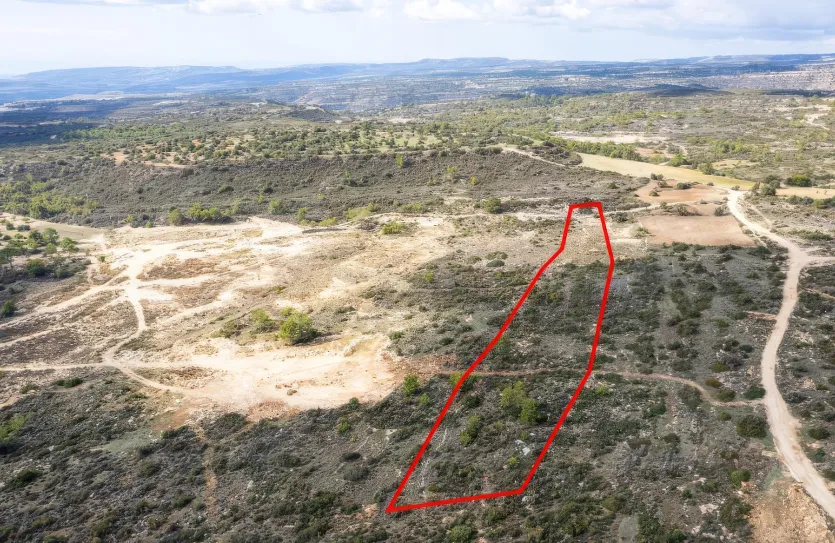 Сельхоз земля - 18184, photo 5