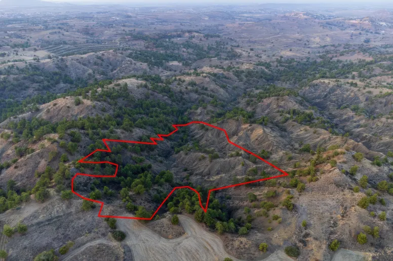 Сельхоз земля в Политике, Никосия