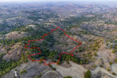 Agricultural land - 18188, photo 1