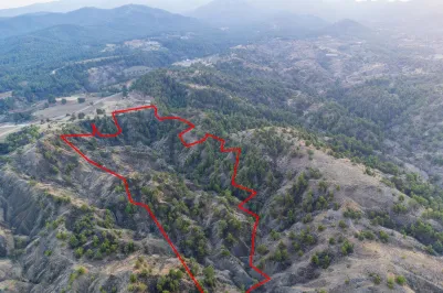 Agricultural land - 18188, photo 2