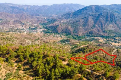 Agricultural land - 18181, photo 2