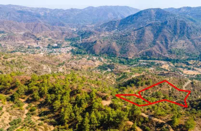 Agricultural land - 18181, photo 3