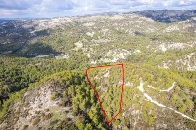 Сельхоз земля - 18185, photo 1