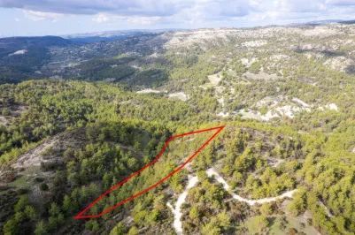 Сельхоз земля - 18185, photo 2