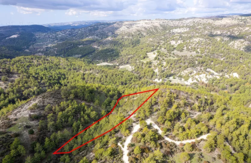 Сельхоз земля - 18185, photo 3