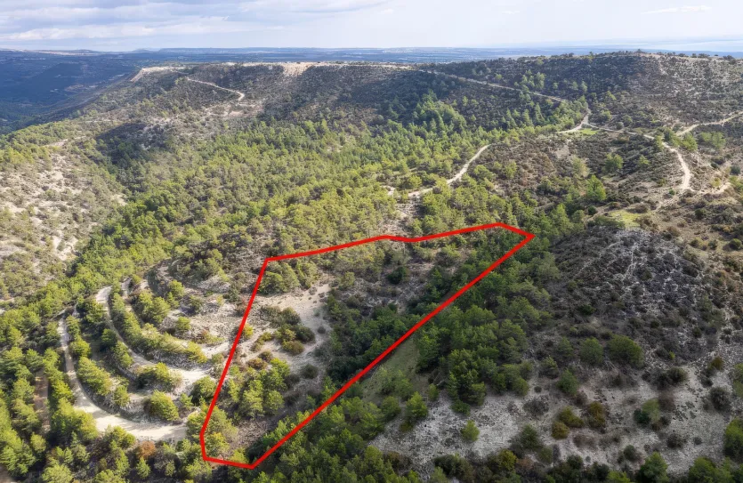 Сельхоз земля - 18185, photo 4