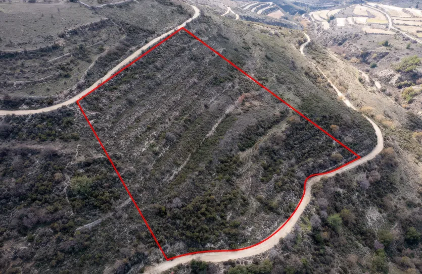 Agricultural land - 18182, photo 2