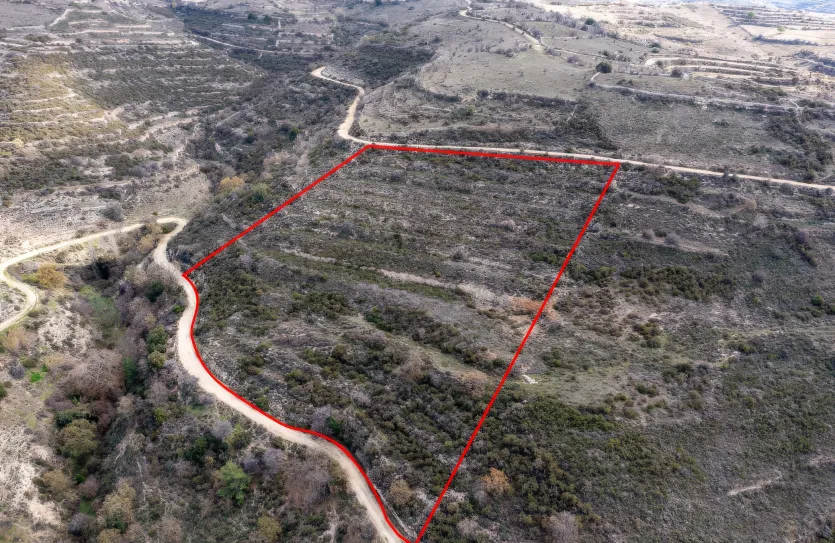 Agricultural land - 18182, photo 3