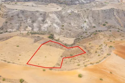 Agricultural land - 18192, photo 1