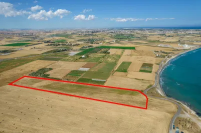 Сельхоз земля - 18199, photo 1