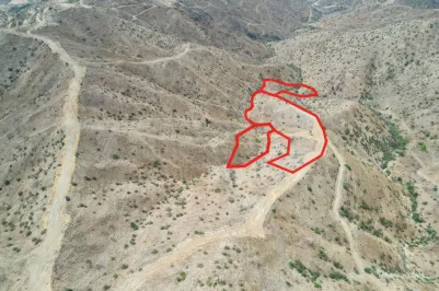 Сельхоз земля - 18198, photo 1