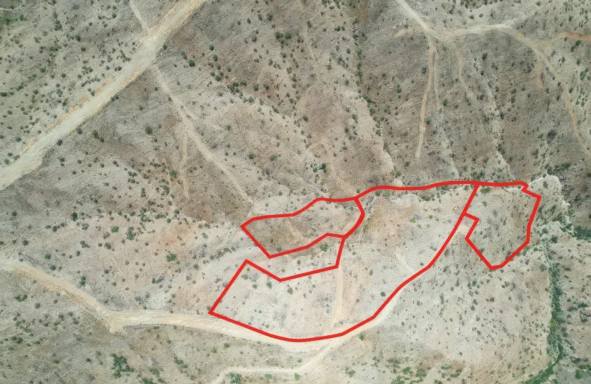 Сельхоз земля - 18198, photo 3