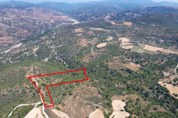 Agricultural land in Prastio, Paphos