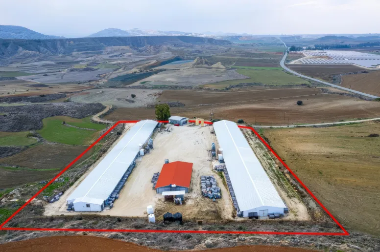 Сельхоз земля в Агиос Иоаннис Малунтас, Никосия