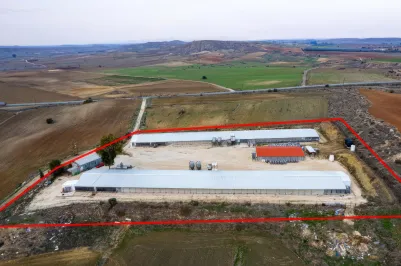 Agricultural land - 18197, photo 1