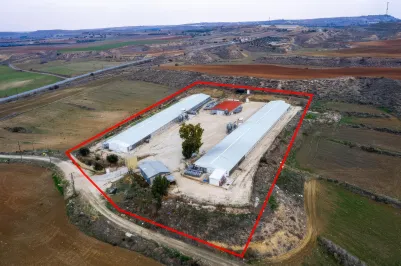 Agricultural land - 18197, photo 2