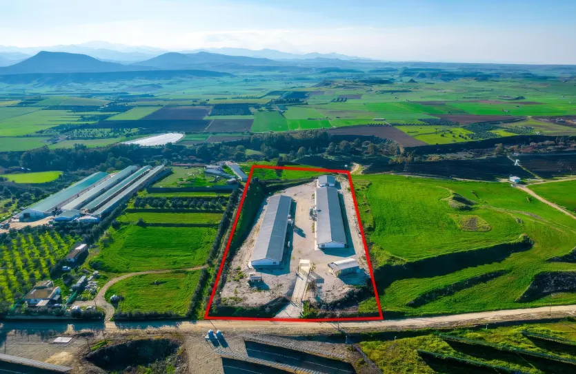 Сельхоз земля продажа - 18196