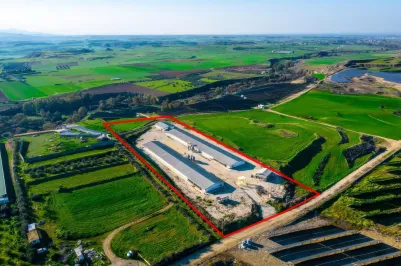 Сельхоз земля - 18196, photo 1